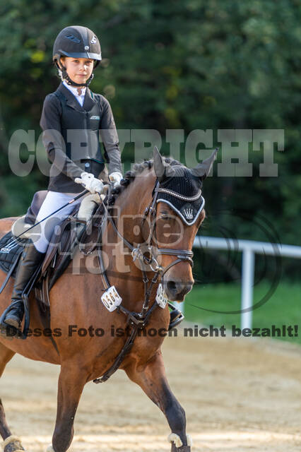 RFV Dinslaken-Hiesfeld (Herbstturnier)