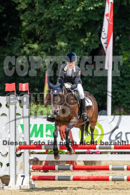 Goldene Schärpe 2021 - Ponys