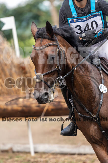 De Peelbergen (August 2020)