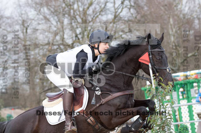 Eventing Langenfeld 2018