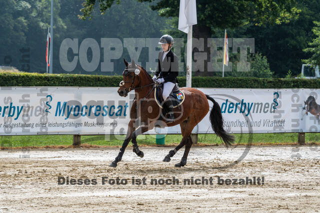Goldene Schärpe 2021 - Ponys