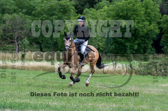 Bonn-Rodderberg Late-Entry-Vielseitigkeit (30.06.2020)