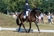 Kronenberg - De Peelbergen (August 2020)