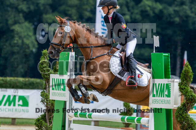 Goldene Schärpe 2021 - Ponys