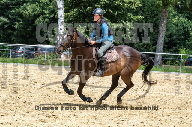 Hunter Geländetraining 10.07.2021 (Sonsbeck)