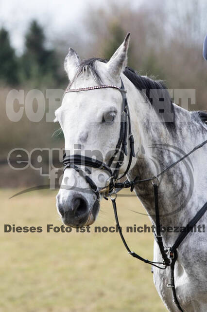 Geländetraining RSV St. Hubertus Wesel Obrighoven