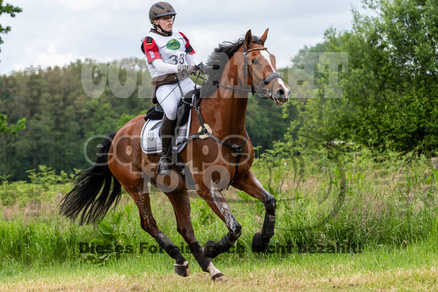 Westerstede Horse Trials 2021
