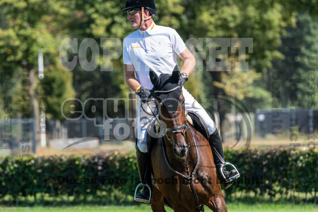 Kronenberg - De Peelbergen (August 2020)