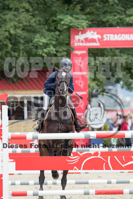 FEI European Championship
