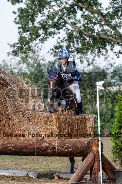 De Peelbergen (August 2020)