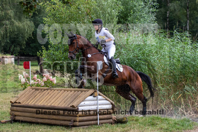 Late-Entry Vielseitigkeit Hamminkeln/Wesel (01.+02.08.2020)