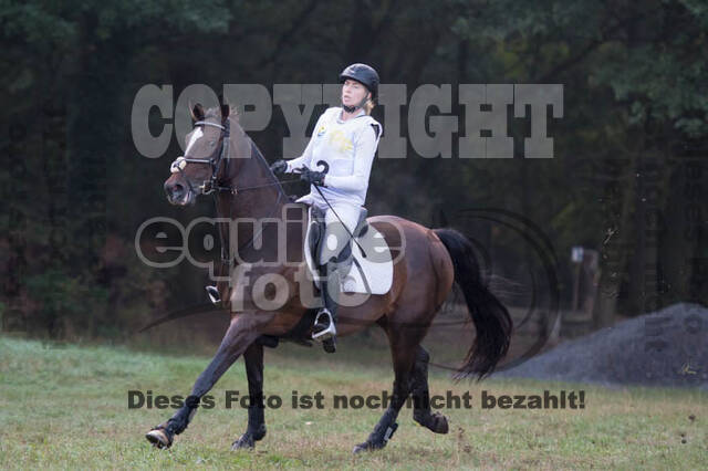 Vielseitigkeitsturnier RSV St. Hubertus Wesel Obrighoven