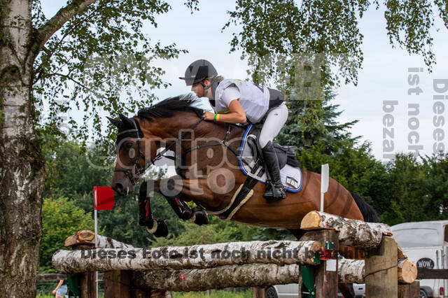 Late-Entry Vielseitigkeit Hamminkeln/Wesel (01.+02.08.2020)