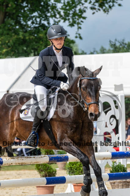 Goldene Schärpe 2021 - Ponys