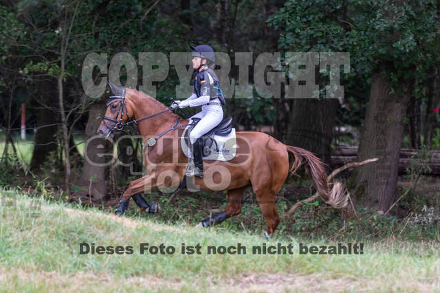 Late-Entry Vielseitigkeit Hamminkeln/Wesel (01.+02.08.2020)