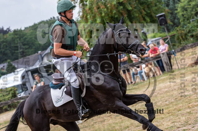 Late-Entry Vielseitigkeit Hamminkeln/Wesel (01.+02.08.2020)