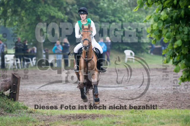 Vielseitigkeitsturnier ZRFV von Lützow Hamminkeln