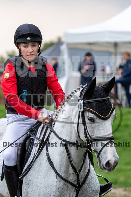 Goldene Schärpe 2020 - Pferde