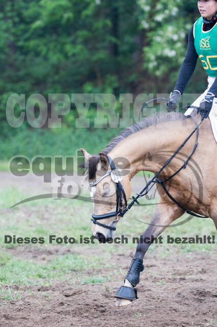 Vielseitigkeitsturnier ZRFV von Lützow Hamminkeln