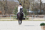 Eventing Langenfeld 2018