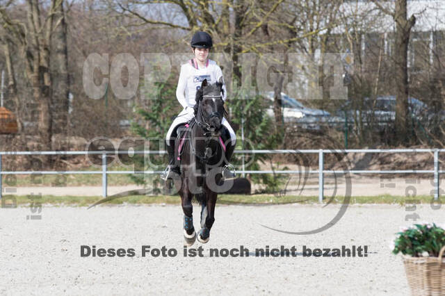 Eventing Langenfeld 2018