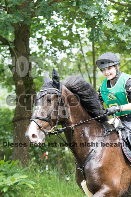 Vielseitigkeitsturnier Bad Honnef