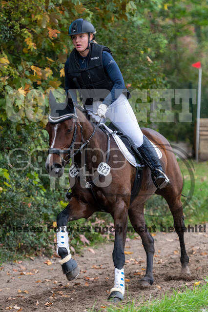 Goldene Schärpe 2020 - Pferde