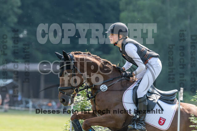 Goldene Schärpe 2021 - Ponys