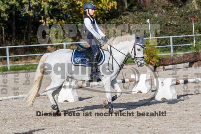 IGV Lehrgang der Sieger der Cups mit Frank Ostholt