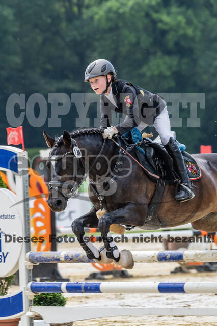 Goldene Schärpe 2021 - Ponys