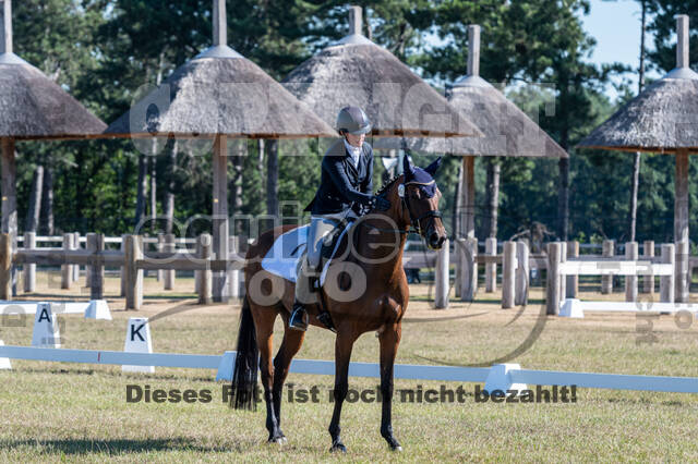 Kronenberg - De Peelbergen (August 2020)