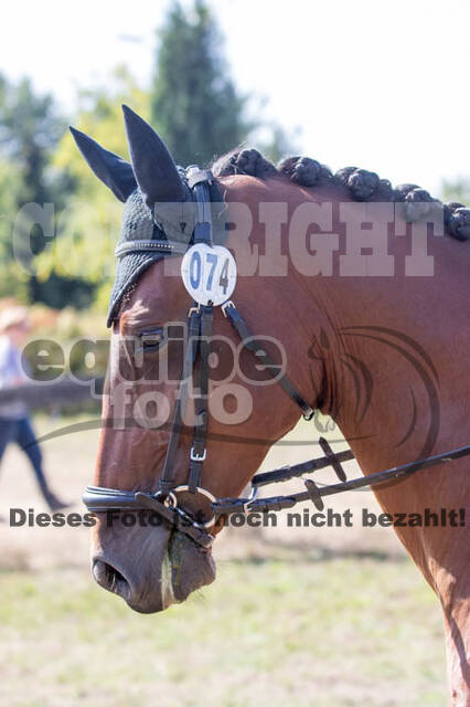 Vielseitigkeitsturnier RSV St. Hubertus Wesel Obrighoven