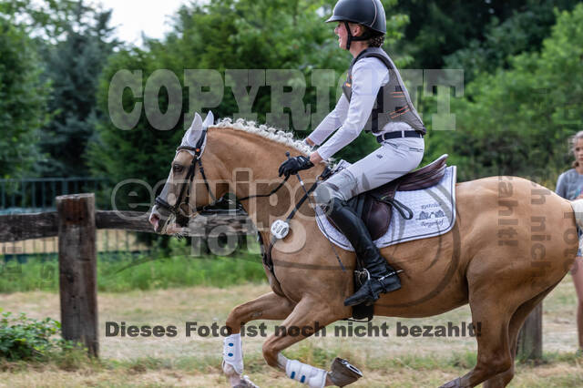 Late-Entry Vielseitigkeit Hamminkeln/Wesel (01.+02.08.2020)