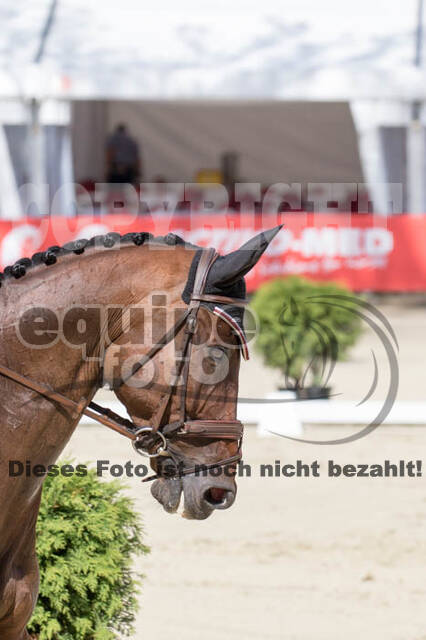 European Championship Eventing 2017