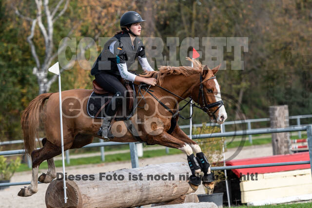 IGV Lehrgang der Sieger der Cups mit Frank Ostholt