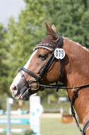 IGV Kleve