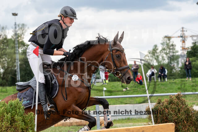 Late-Entry-Vielseitigkeit Langenfeld (06.+07.07.2020)