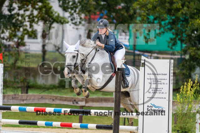 Vielseitigkeit RSV Wesel Obrighoven (26.+27.09.2020)