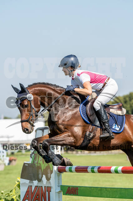 Kronenberg - De Peelbergen (August 2020)