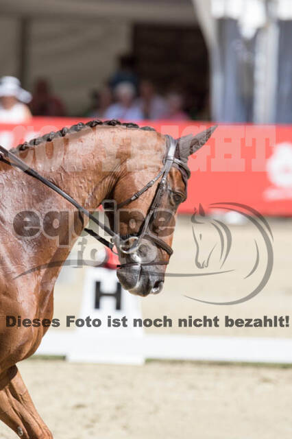 FEI European Championship Eventing 2017