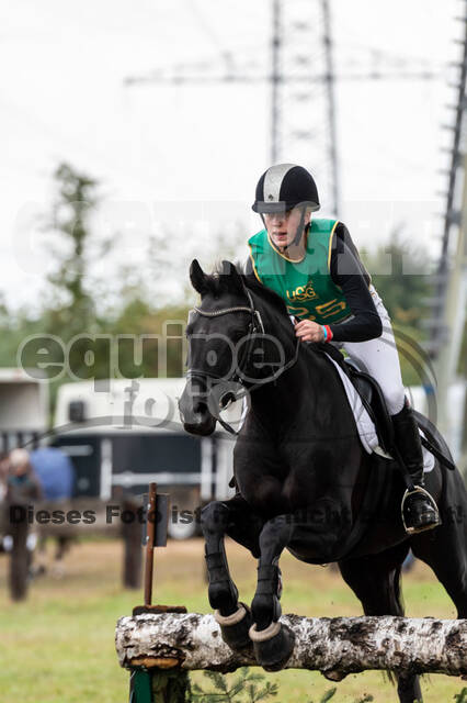 Vielseitigkeit RSV Wesel Obrighoven (26.+27.09.2020)