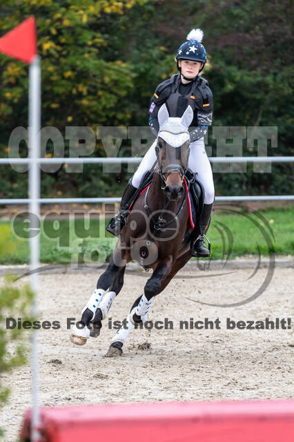 Goldene Schärpe 2020 - Pferde