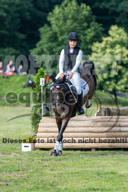 Goldene Schärpe 2021 - Ponys