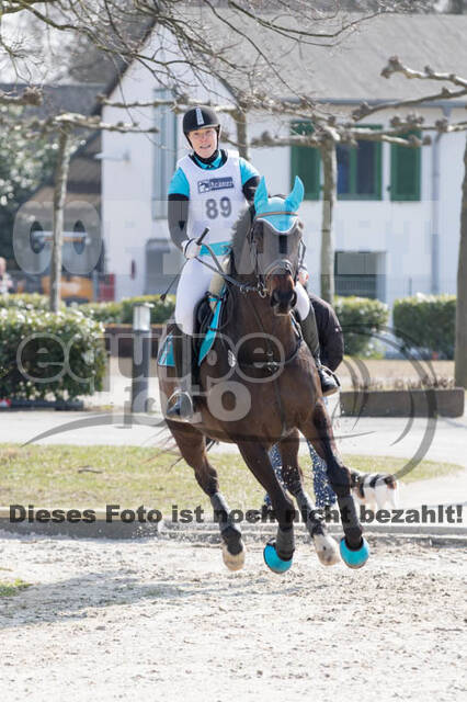 Eventing Langenfeld 2018