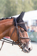 FEI European Championship Eventing 2019