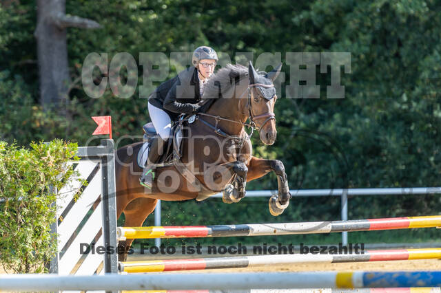 RFV Dinslaken-Hiesfeld (Herbstturnier)