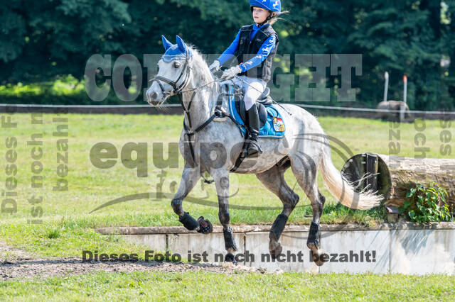 Goldene Schärpe 2021 - Ponys