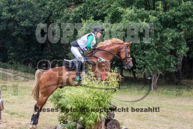 Late-Entry Vielseitigkeit Hamminkeln/Wesel (01.+02.08.2020)