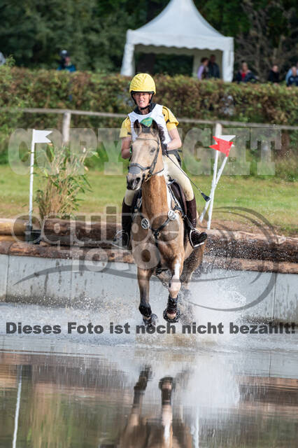 Deutsche Meisterschaft Vielseitigkeit (Luhmühlen)