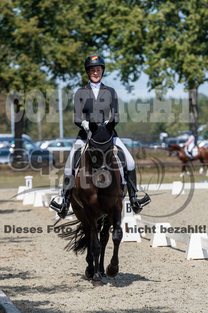 Kronenberg - De Peelbergen (August 2020)